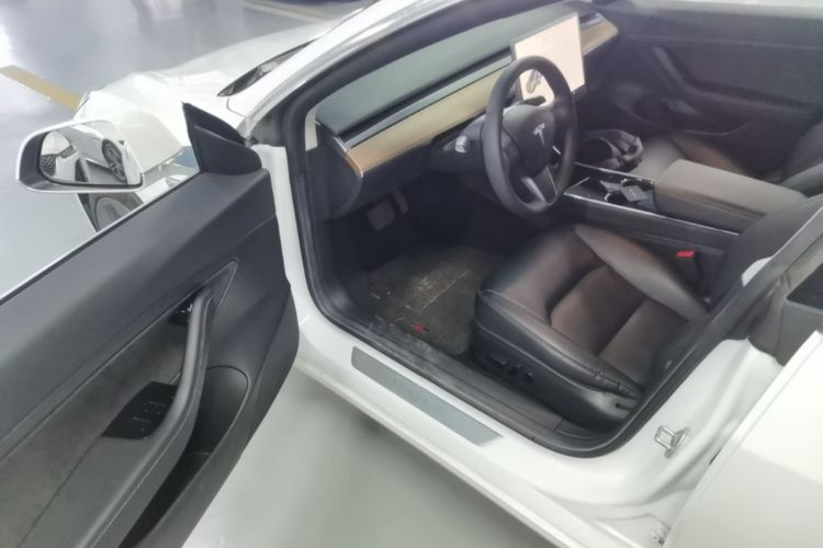 Tesla Model 3 2020 car image #16