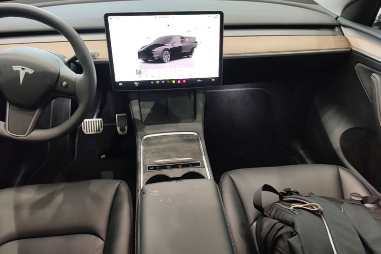 Tesla Model Y 2022 car image #13
