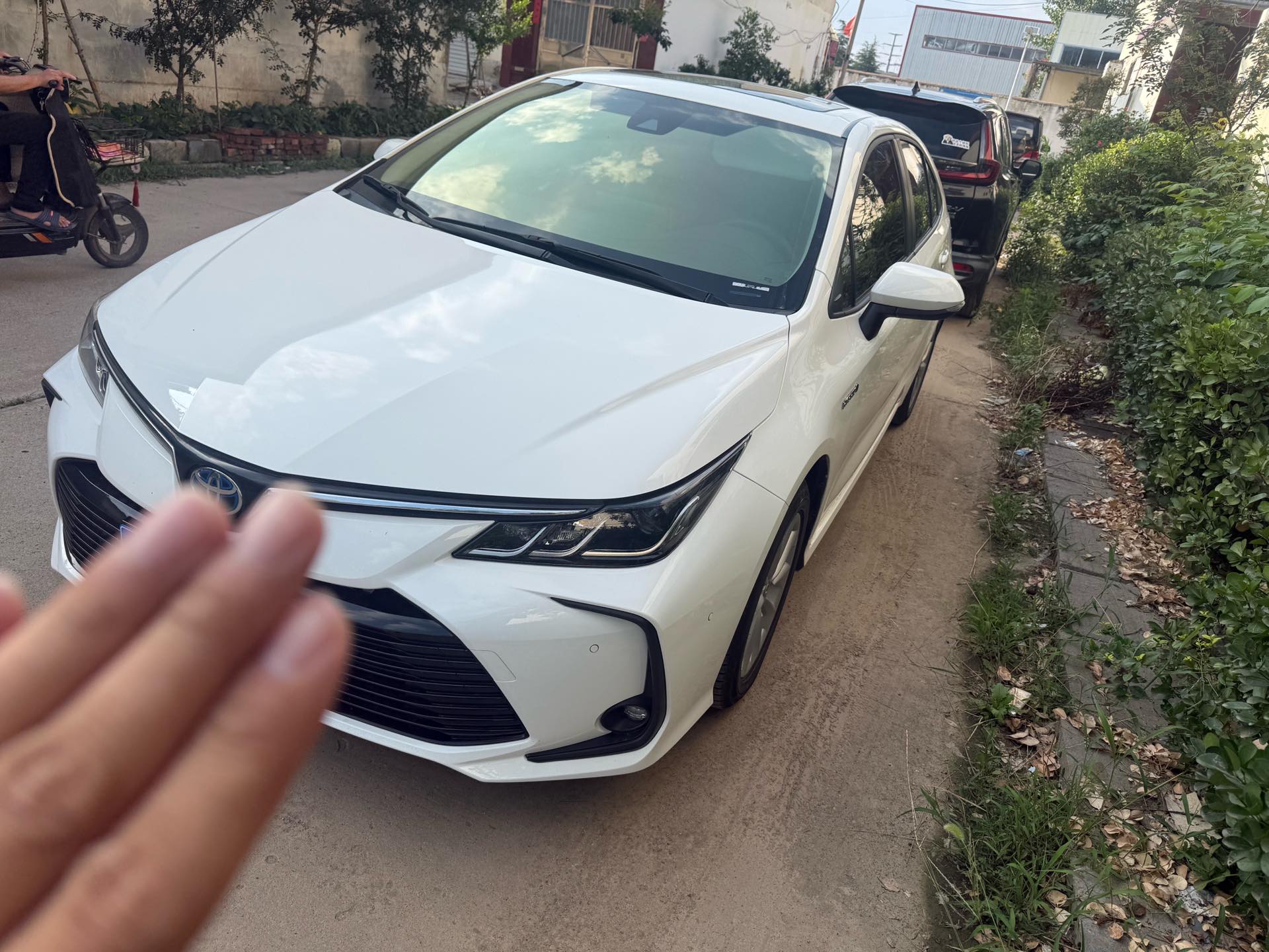 Toyota Corolla 2023 car image 