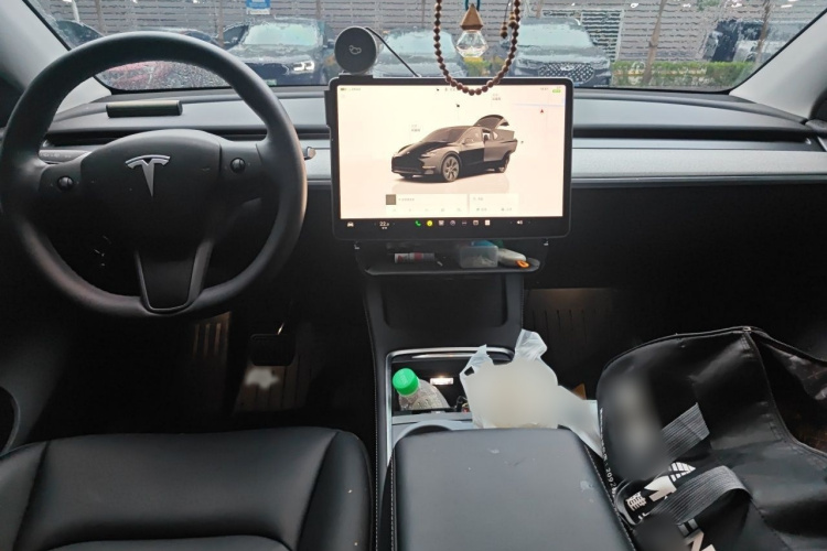 Tesla Model Y 2024 car image #12