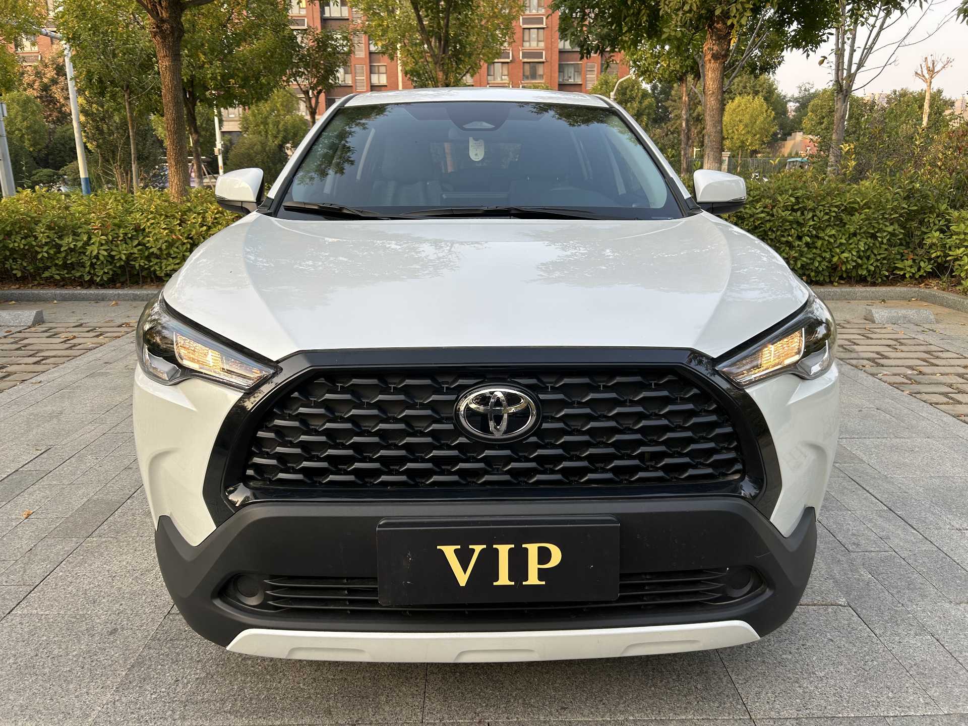 Toyota Corolla Cross 2024 car image #2