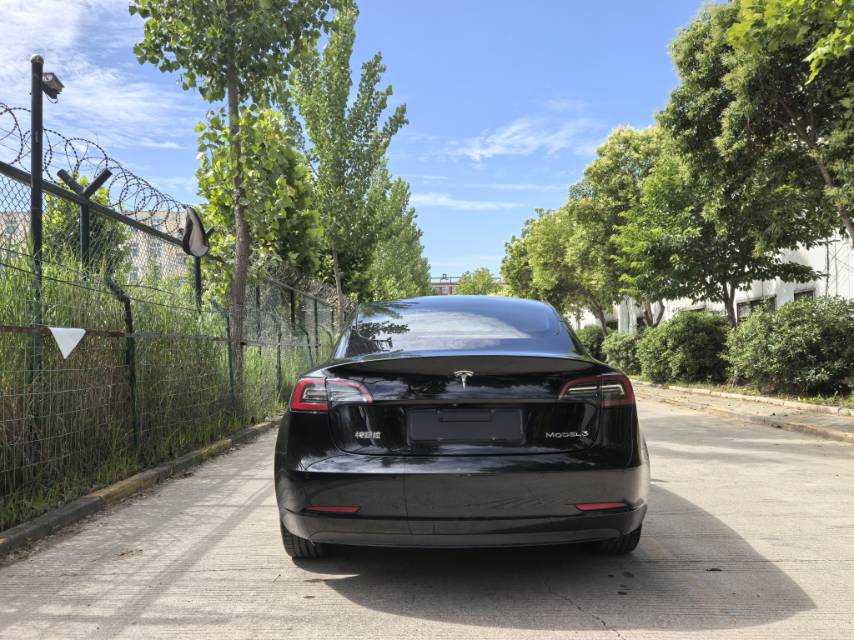 Tesla Model 3 2021 #8 Tesla Model 3 2021 car image #8