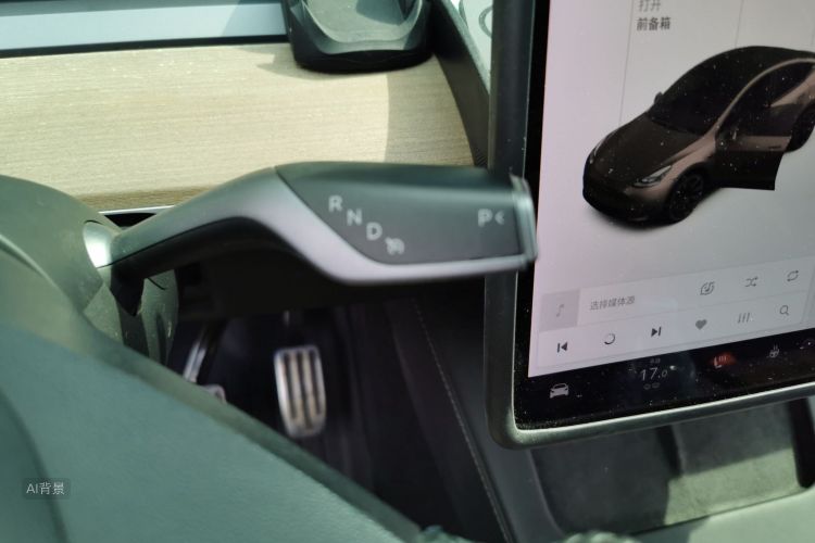 Tesla Model Y 2021 immagine di auto #16