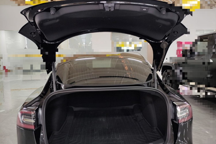 Tesla Model 3 2020 car image #19