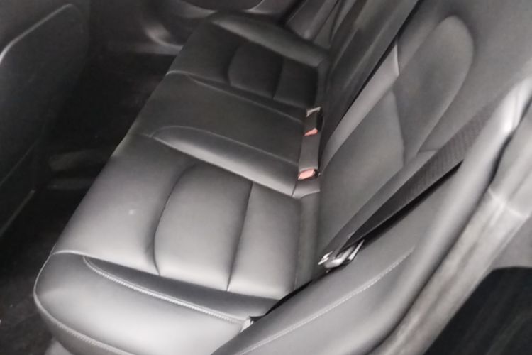 Tesla Model 3 2021 #17 Tesla Model 3 2021 car image #17