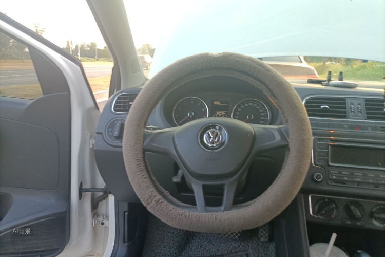 Volkswagen Polo 2014 car image #12
