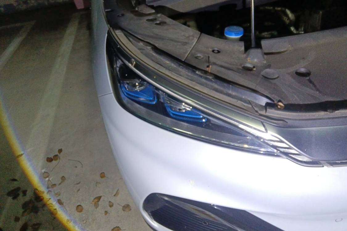 BYD Yuan Plus 2023 car image #7