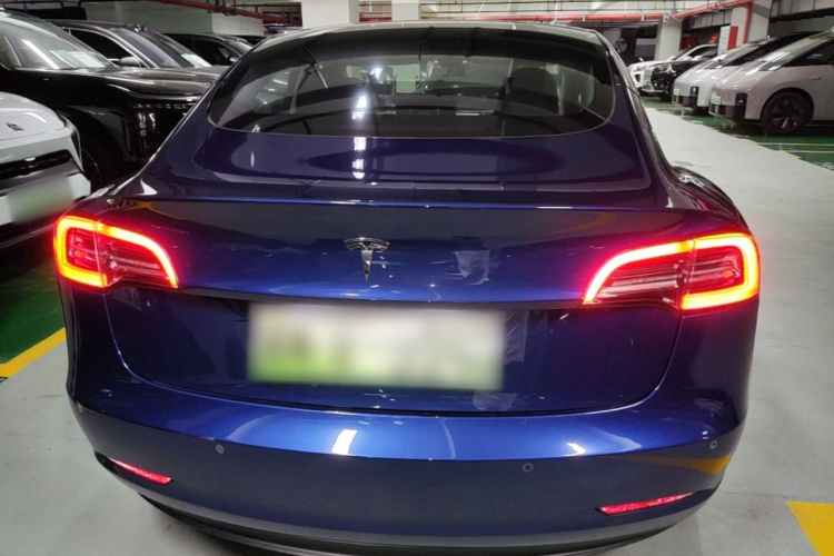 Tesla Model 3 2022 #6 Tesla Model 3 2022 car image #6
