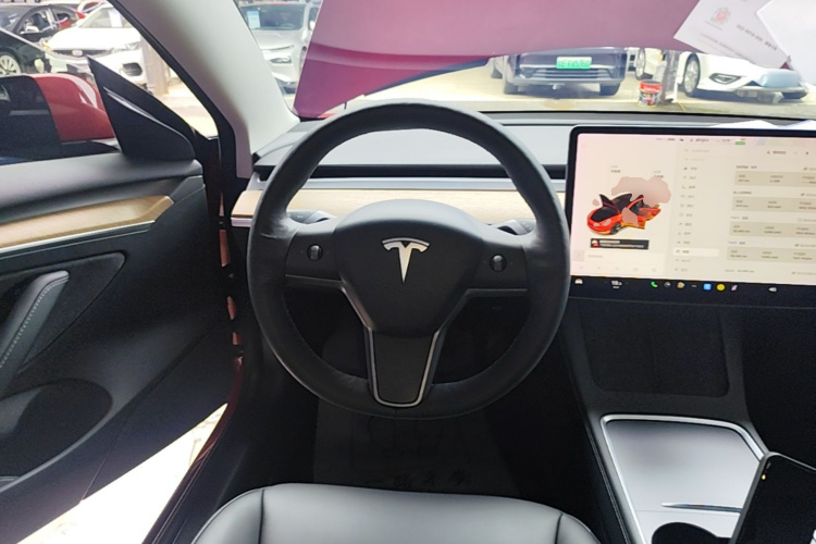 Tesla Model 3 2021 car image #11