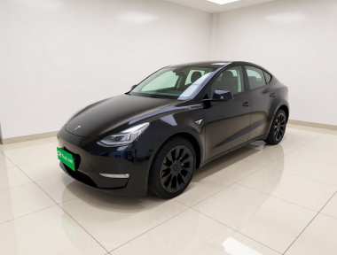 Tesla Model Y 2021 Tesla Model Y 2021 car image