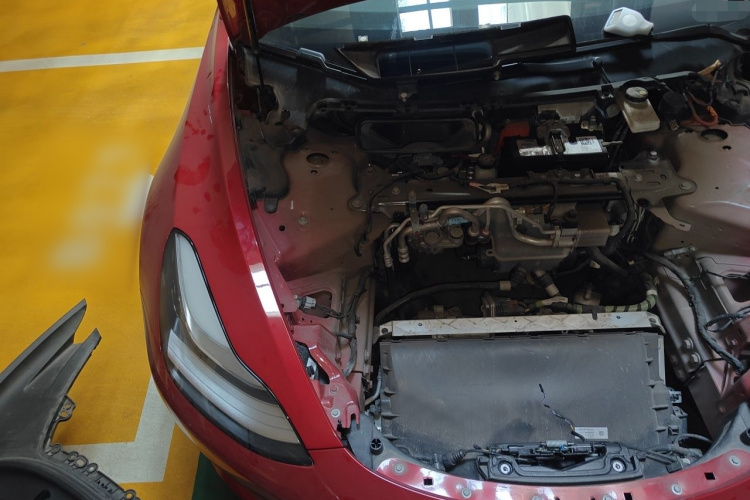 Tesla Model 3 2020 #28 Tesla Model 3 2020 car image #28