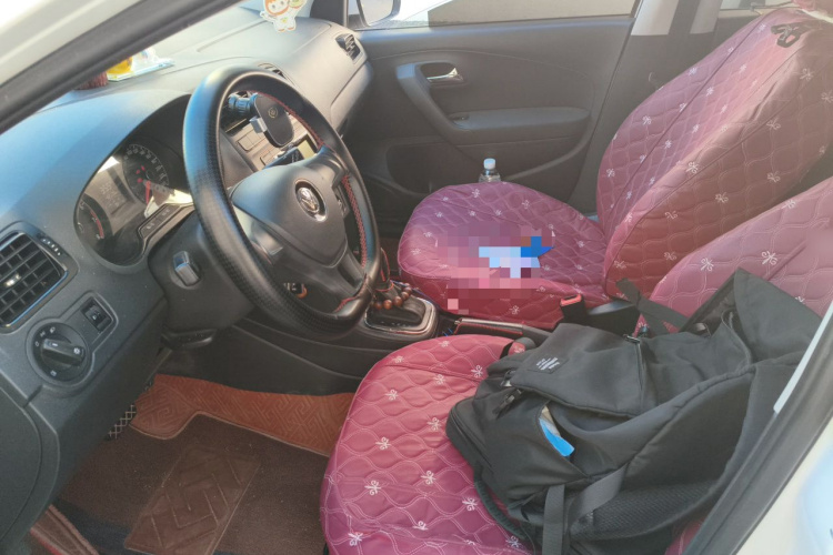 Volkswagen Polo 2019 car image #15