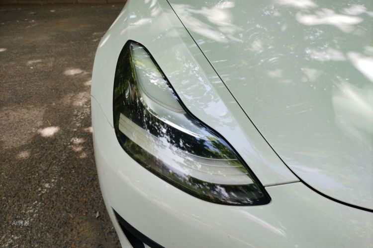 Tesla Model 3 2020 immagine di auto #8