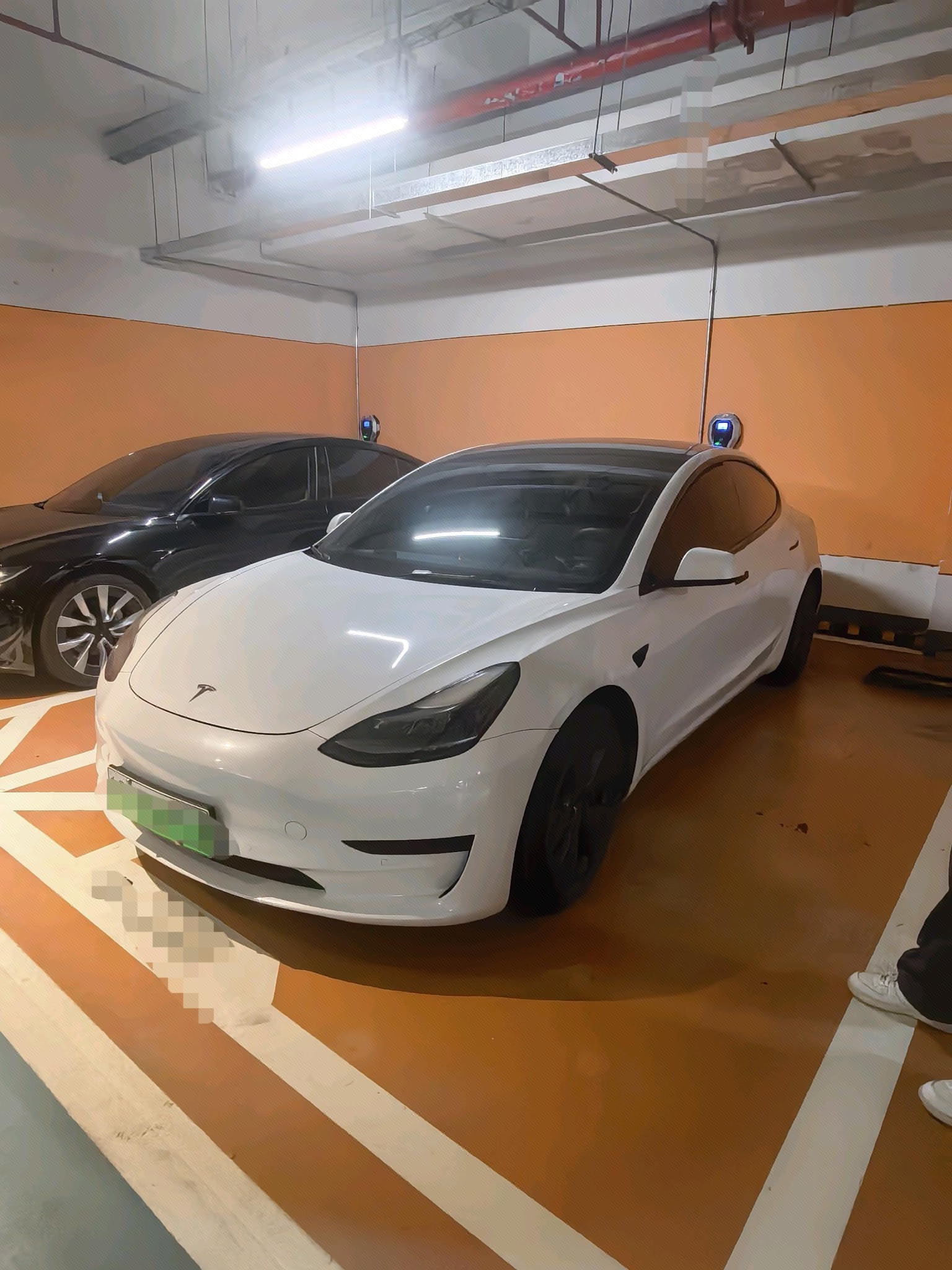 Tesla Model 3 2021 Tesla Model 3 2021 car image