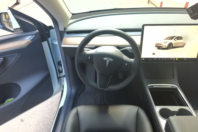 Tesla Model Y 2022 #15 Tesla Model Y 2022 car image #15