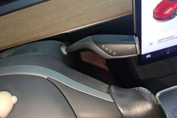 Tesla Model 3 2021 car image #18