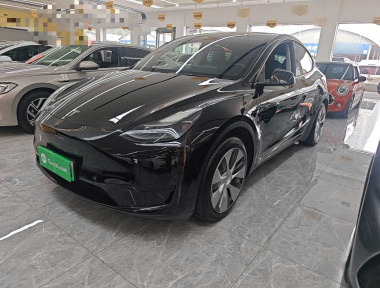 Tesla Model Y 2022 car image 
