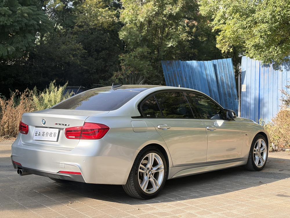 BMW 3 Series 2018 car image #6
