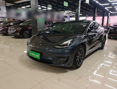 Tesla Model 3 2020 Tesla Model 3 2020 car image