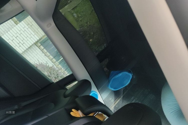 Tesla Model 3 2021 car image #20