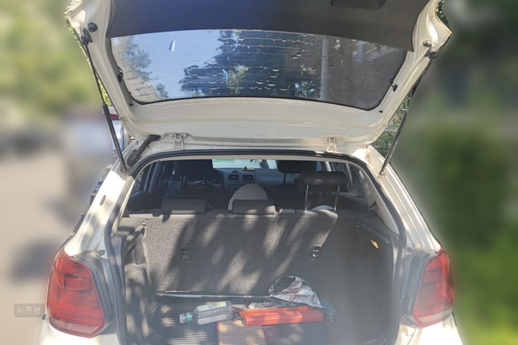 Volkswagen Polo 2015 car image #21