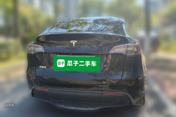 Tesla Model Y 2024 car image #6