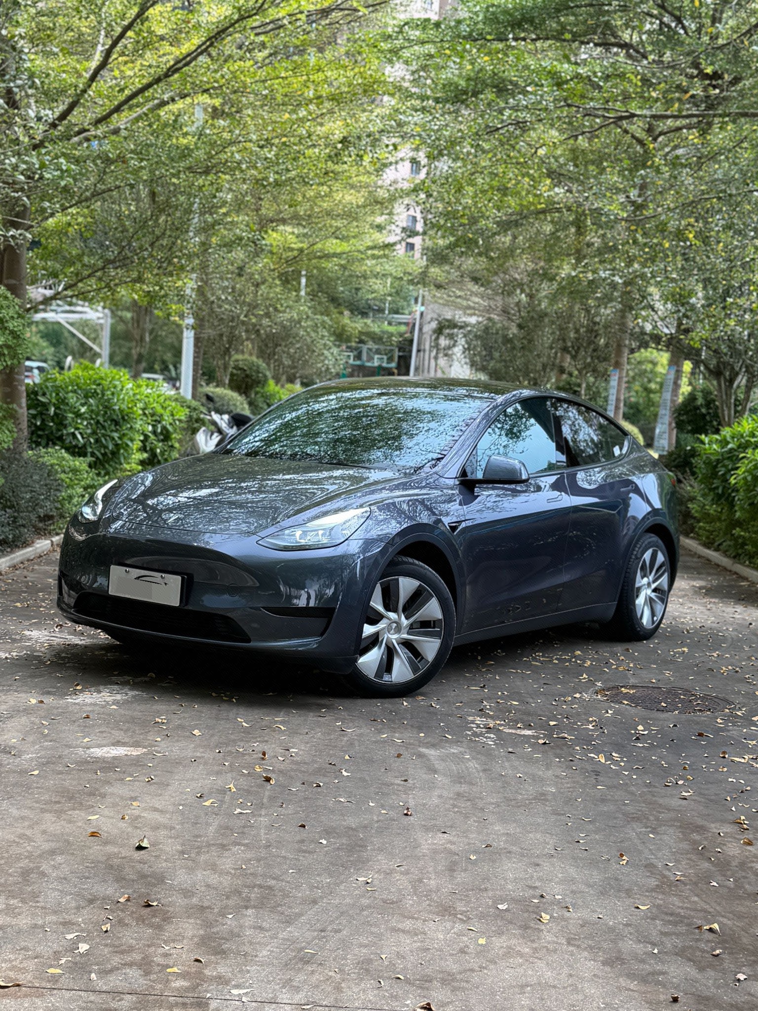 Tesla Model Y 2022 car image 