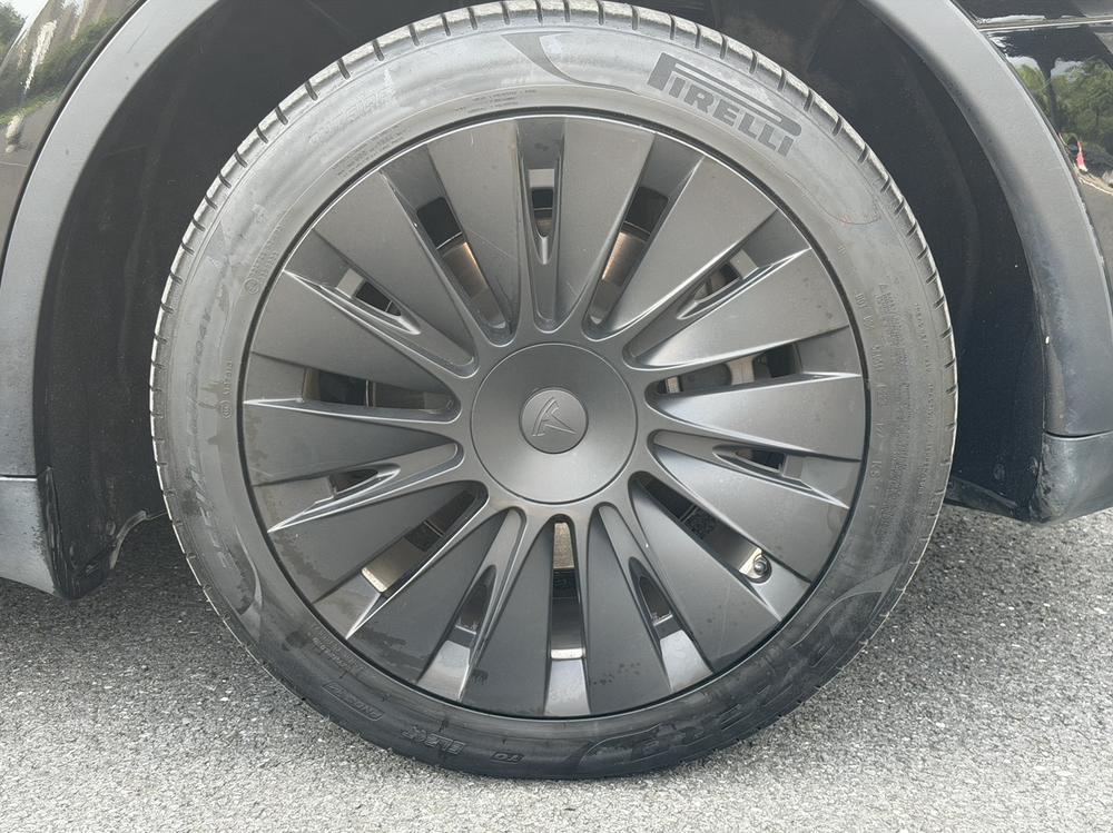 Tesla Model Y 2023 #8 Tesla Model Y 2023 car image #8