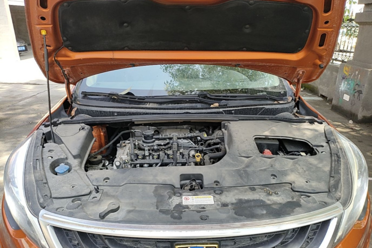 GEELY Emgrand GS 2017 imagen de coche #20