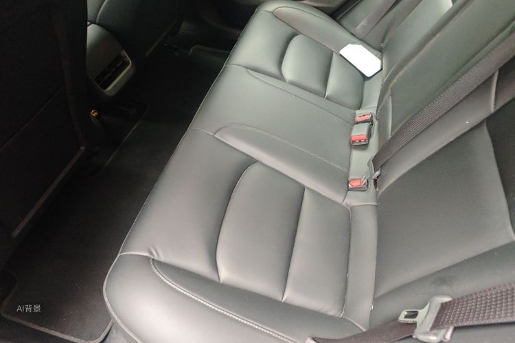 Tesla Model 3 2020 car image #19