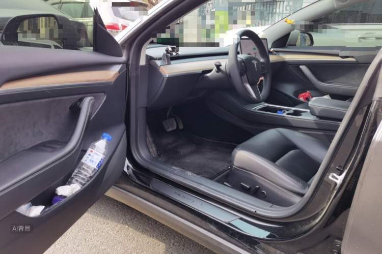 Tesla Model 3 2021 car image #18