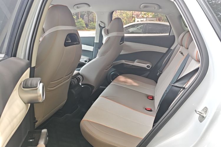 BYD Yuan Plus 2023 car image #17