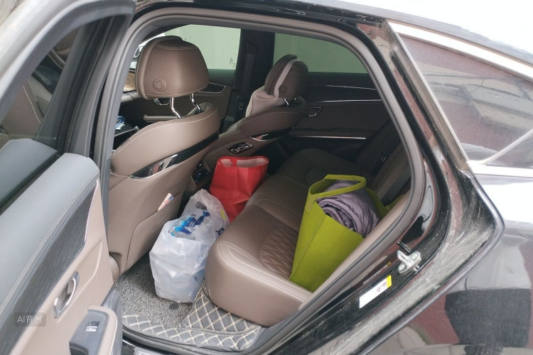 BYD Han 2020 car image #19