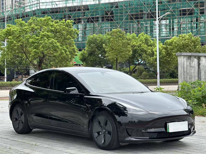 Tesla Model 3 2021 #5 Tesla Model 3 2021 car image #5