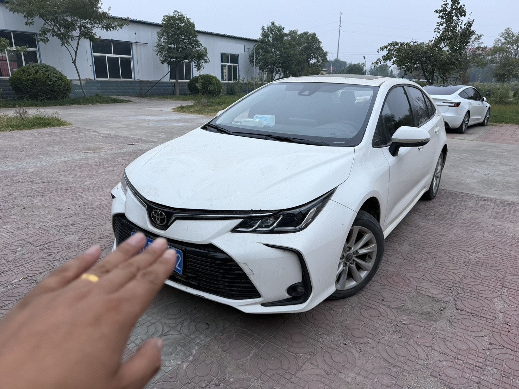 Toyota Corolla 2023 car image 