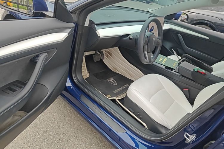 Tesla Model 3 2021 car image #16