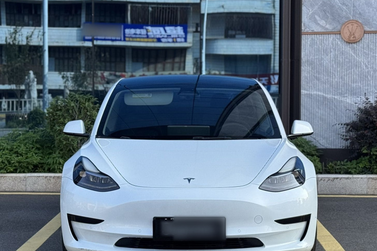 Tesla Model 3 2022 car image #3