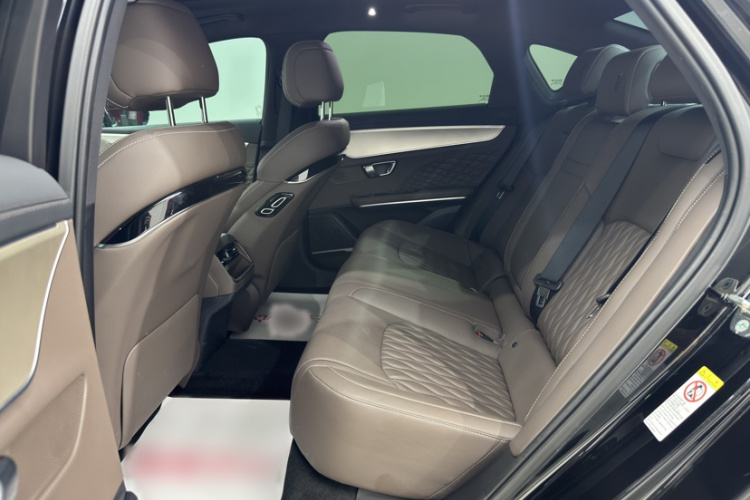 BYD Han 2024 car image #11