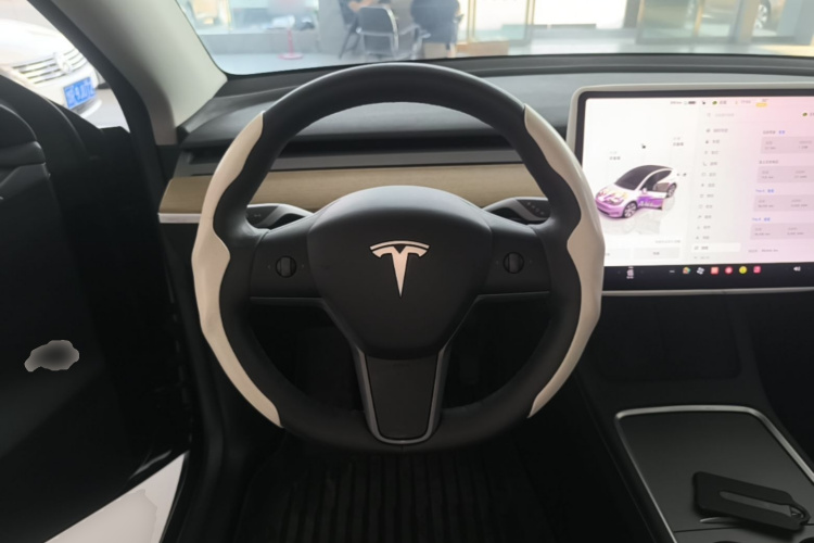 Tesla Model Y 2023 car image #11
