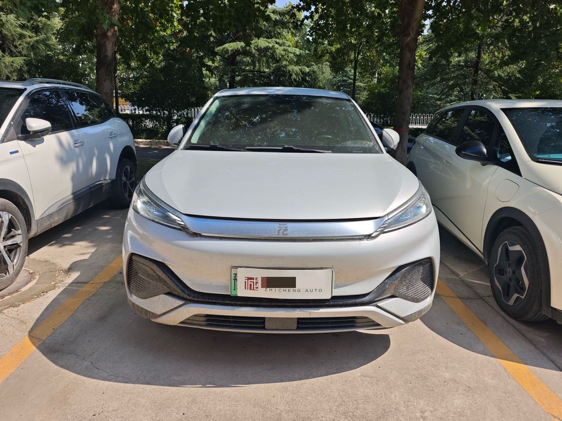 BYD Yuan Plus 2024 car image #2
