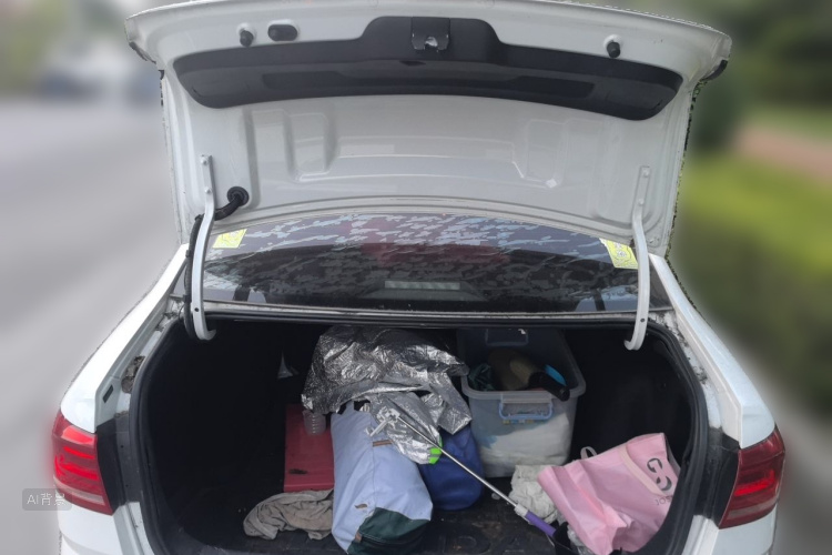 Volkswagen Lavida 2015 car image #21