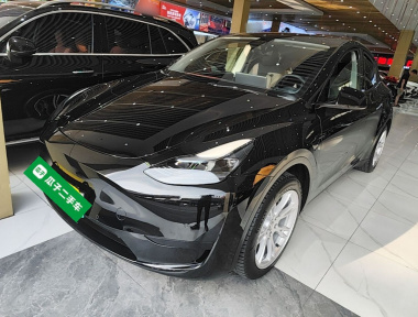 Tesla Model Y 2023 Tesla Model Y 2023 immagine di auto