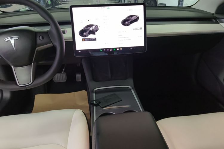 Tesla Model 3 2021 #13 Tesla Model 3 2021 car image #13