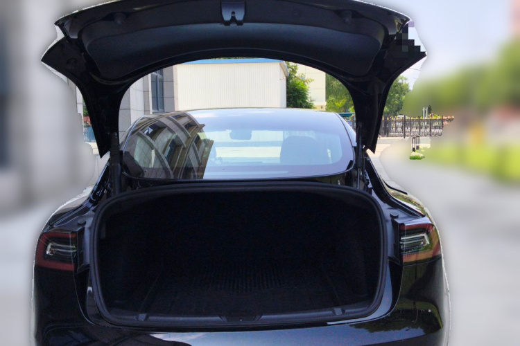 Tesla Model 3 2021 car image #17