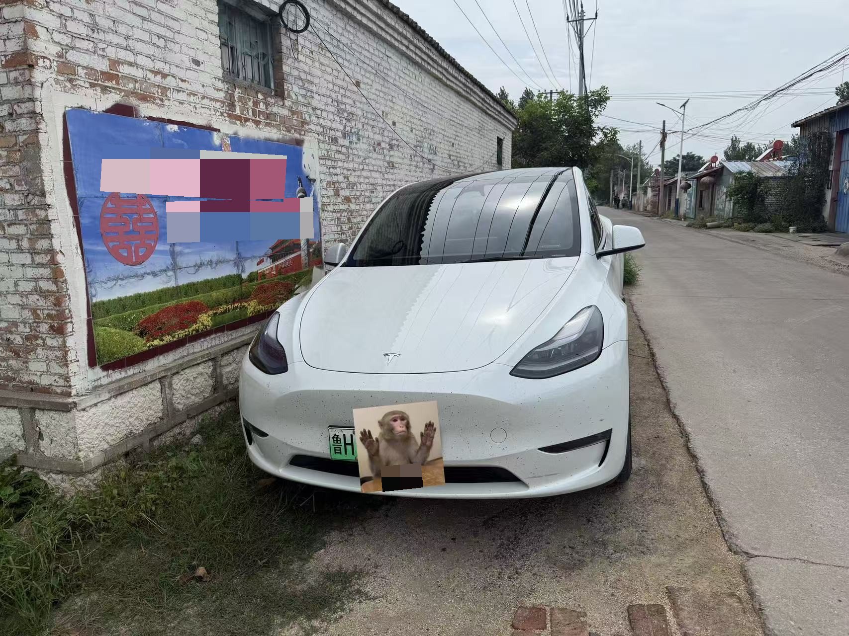 Tesla Model Y 2024 Tesla Model Y 2024 car image