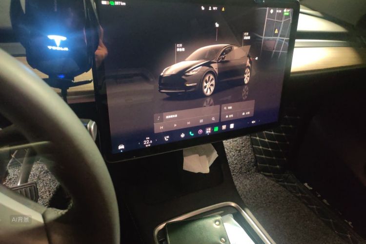Tesla Model Y 2022 car image #15