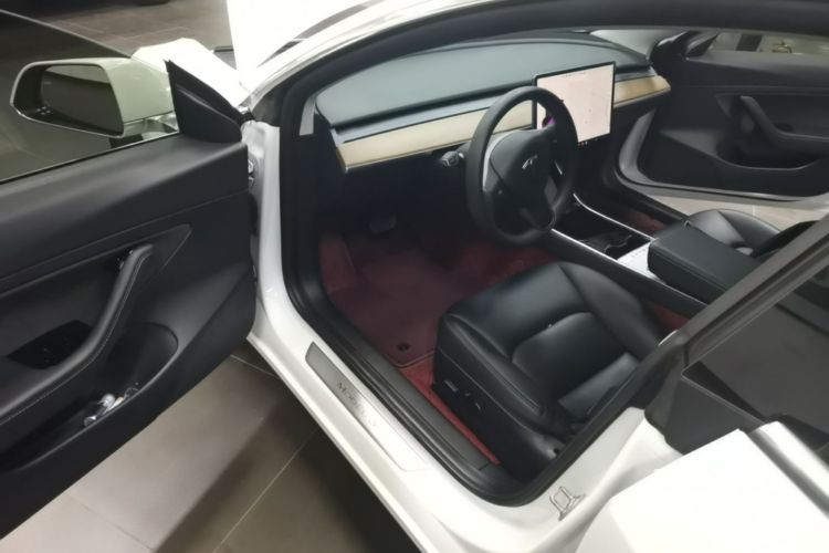 Tesla Model 3 2020 car image #16