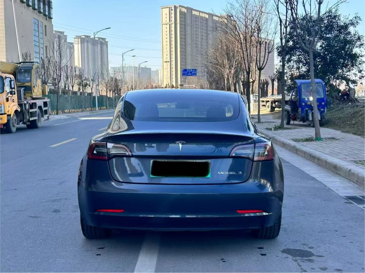 Tesla Model 3 2020 car image #8
