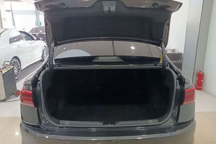 Volkswagen Bora 2020 car image #19