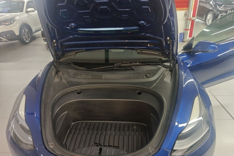Tesla Model 3 2021 car image #20